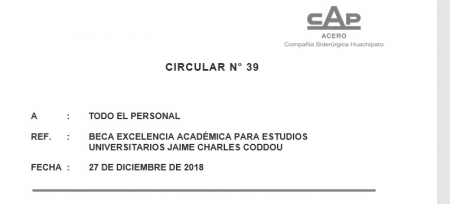 39 Circular beca 2019