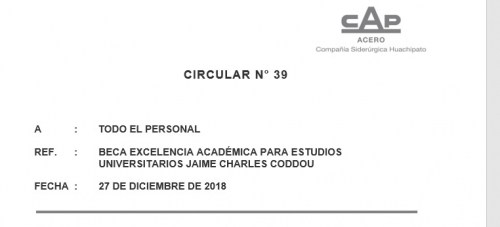 39 Circular beca 2019