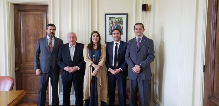 Renovación Salvaguarda